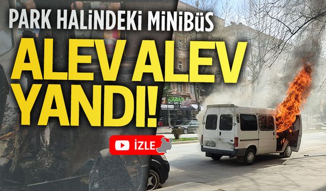 Park halindeki minibüs alev alev yandı