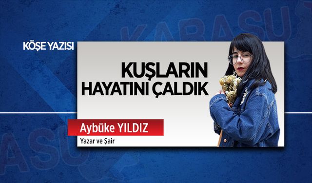 Kuşların hayatını çaldık