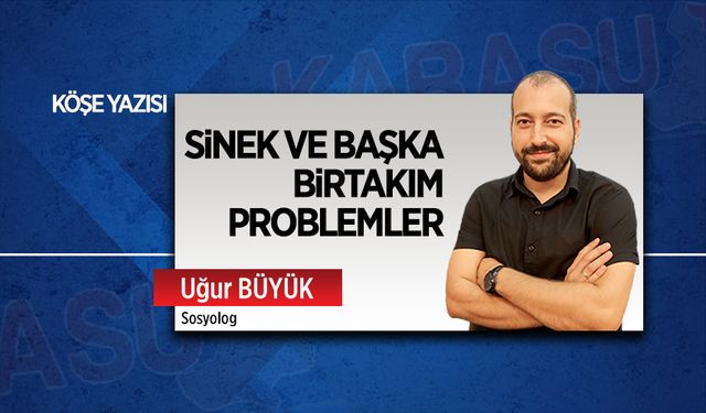 Sinek ve başka birtakım problemler