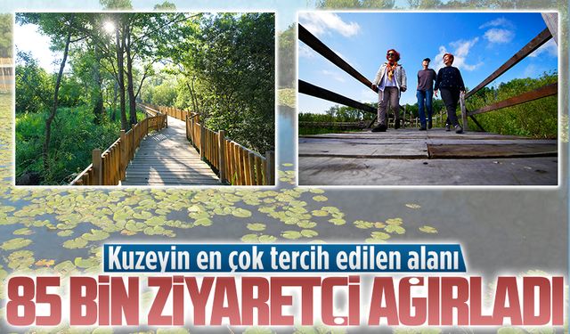 Doğa harikası Acarlar Longozu bu yaz turist akınına uğradı