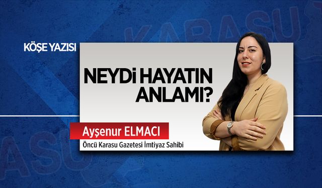 Neydi hayatın anlamı?