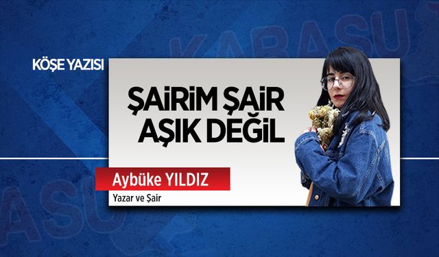 Şairim şair aşık değil