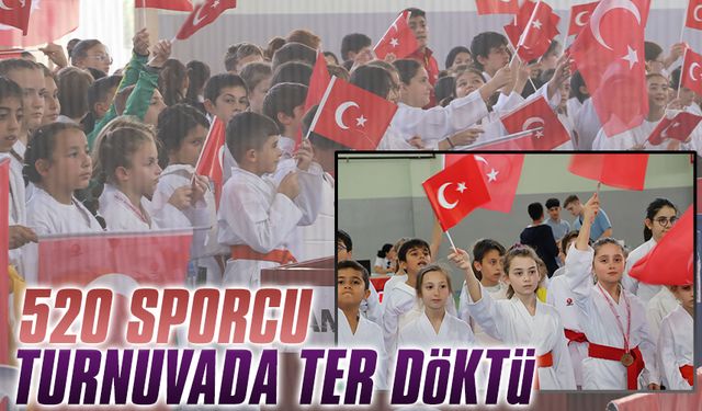 Cumhuriyet Kupası Karate Turnuvası, Karasu’da düzenlendi