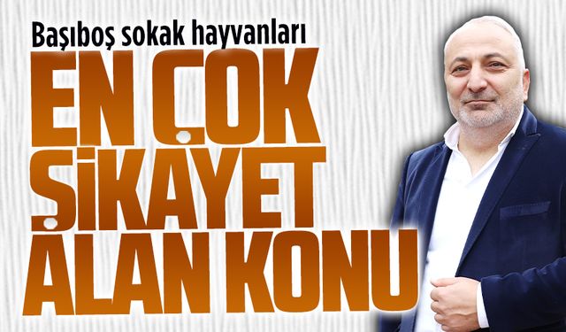 Oğuzhan Coşkun, sokak hayvanlarının ülke gündeminde yer aldığını belirtti