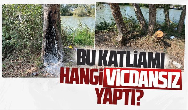 Yeni Mahallesi’nde vicdansızlık örneği