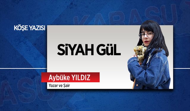 Siyah gül