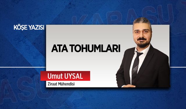 Ata tohumları