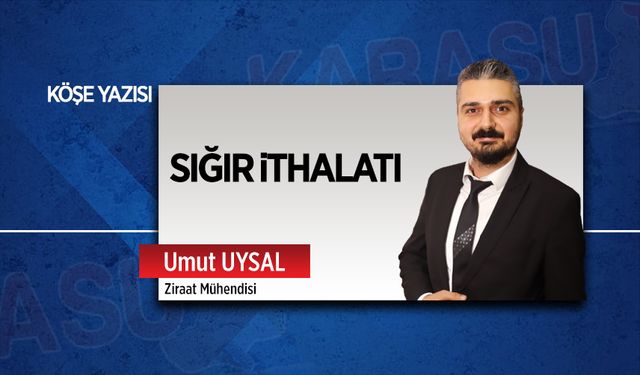 Sığır ithalatı