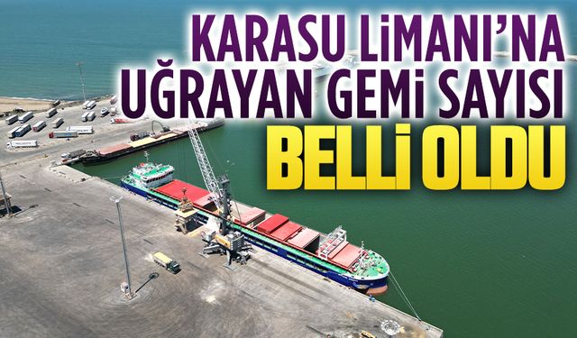 2023 yılında Karasu Limanı’na 428 gemi yanaştı