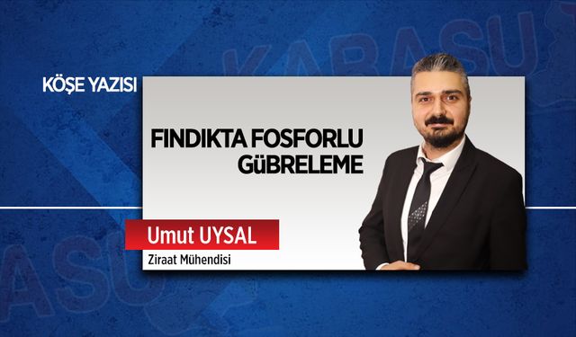 Fındıkta fosforlu gübreleme