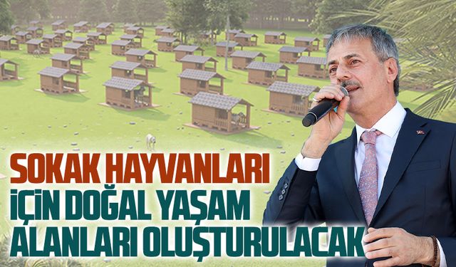 Sokak hayvanları için doğal yaşam alanları oluşturulacak