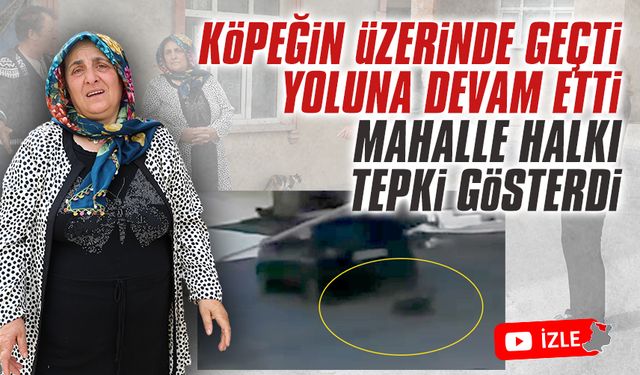 Köpeğin üzerinden geçti, yoluna devam etti