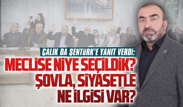 Meclise niye seçildik? Şovla, siyasetle ne ilgisi var?