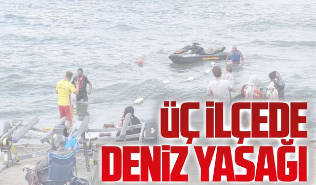 Üç ilçeye yasak geldi