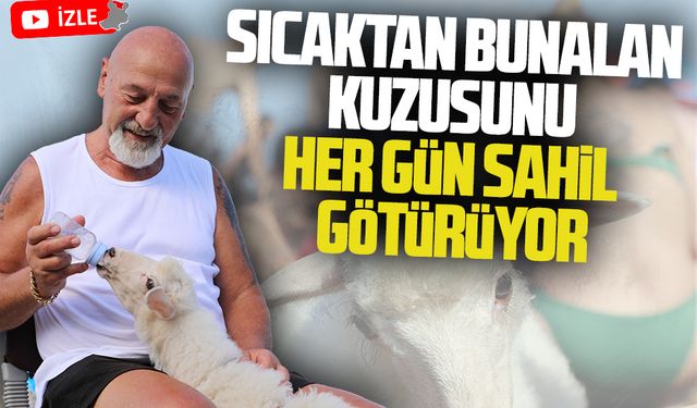 Sıcaktan bunalan kuzusunu her gün denize götürüyor