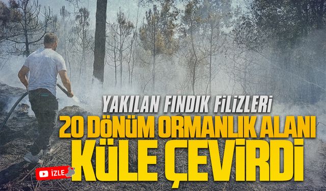 Karasu'da ormanlık alana sıçrayan yangın kontrol altına alındı