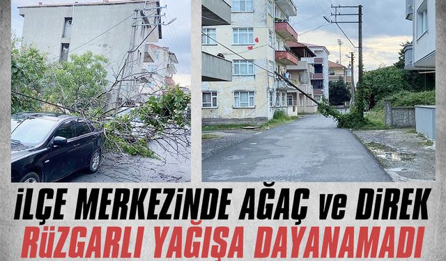 Şiddetli rüzgar ve yağış, direk ve ağaçlara zarar verdi