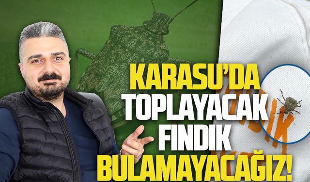 Karasu’da toplayacak fındık bulamayacağız!