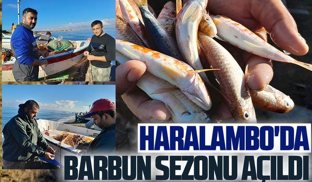 Haralambo'da barbun sezonu açıldı