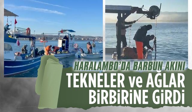 Barbun akınına hücum, Haralambo’da ağlar birbirine girdi