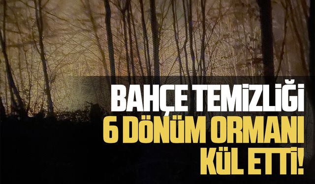 Yassıgeçit Mahallesi'nde orman yangını: 6 dönüm arazi zarar gördü