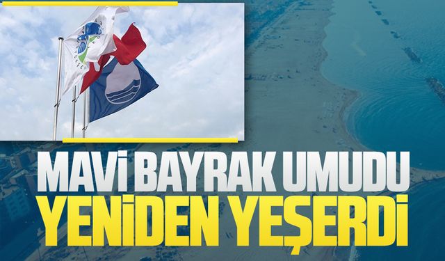Karasu ve Kocaali için ihale tarihi açıklandı