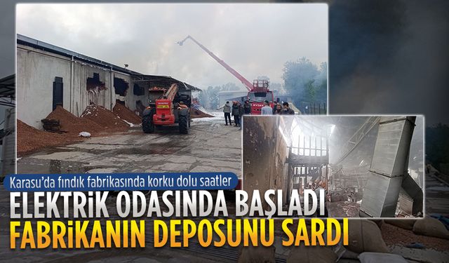 Karasu’da fındık kırım fabrikasında yangın çıktı