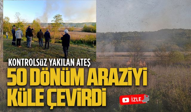 Kontrolsüz yakılan ateş 50 dönüm araziyi küle çevirdi