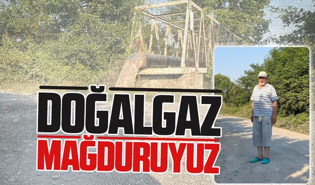 İbrahim Durdubaş: Doğalgaz mağduruyuz