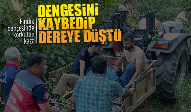 Fındık bahçesinde filiz alırken dereye düştü: Ekipler seferber oldu