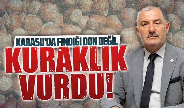 Başkan Arık, bu yıl fındıkta verim kaybı beklendiğini açıkladı