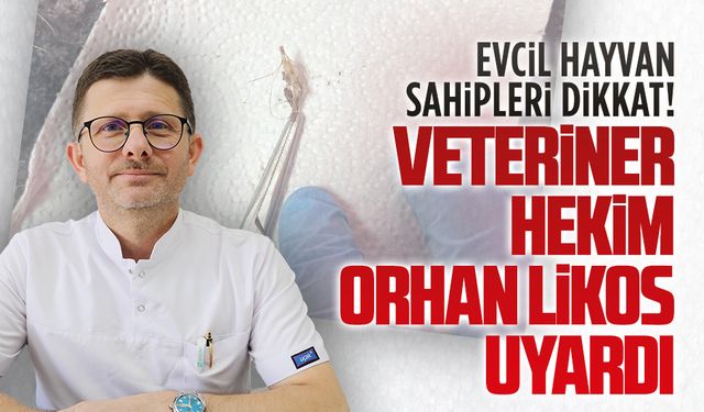 Yazın sessiz tehlikesi: Pisi pisi otuna dikkat!