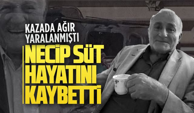 Kazada ağır yaralanan Necip Süt hayatını kaybetti