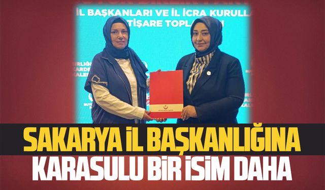 Sakarya il başkanlığına Karasulu bir isim daha