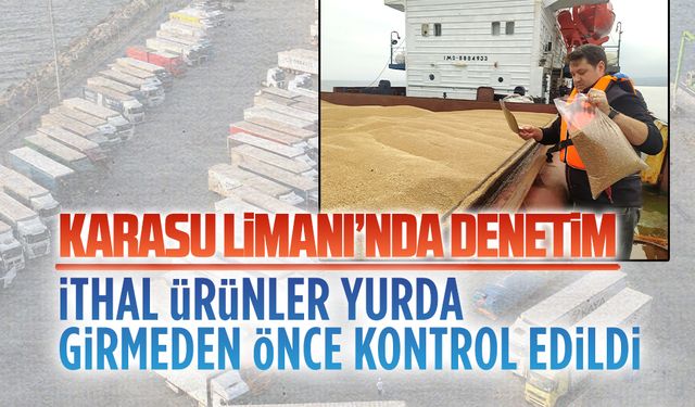 Karasu Limanı’nda bitki sağlığı denetimi yapıldı