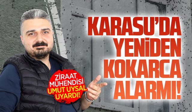 Karasu’da yeniden kokarca alarmı!