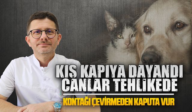 Veteriner Hekim Orhan Likos’tan sokak hayvanları için kritik çağrı