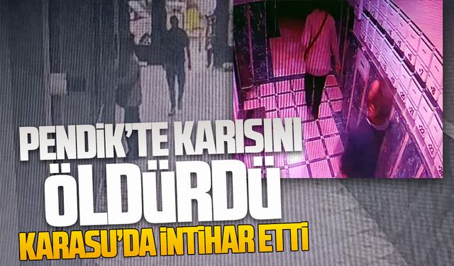 Pendik’te karısını öldürdü, Karasu’da intihar etti