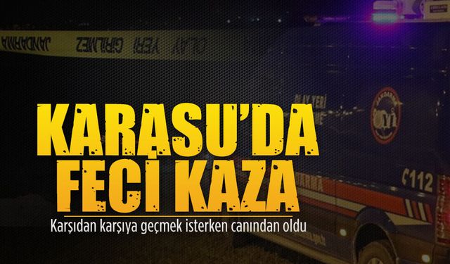 Karasu-Adapazarı yolu üzerinde feci kaza: 1 ölü