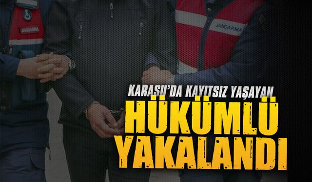 Karasu’da 10 yıl hapis cezası bulunan şahıs yakalandı
