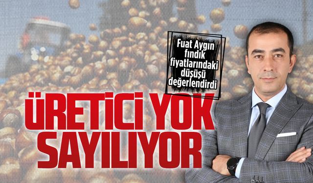 Fuat Aygın, fındık fiyatlarındaki düşüşü değerlendirdi