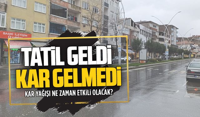 Okullar tatil oldu ama beklenen kar gelmedi