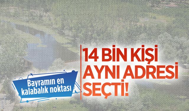 Bayramın gözdesi Acarlar Longozu oldu