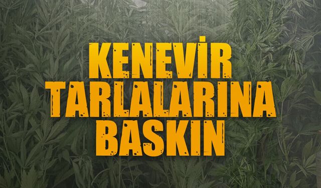 Karasu dahil üç ilçede operasyon