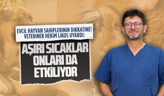 Veteriner Hekim Orhan Likos, evcil hayvan sahiplerine uyarıda bulundu