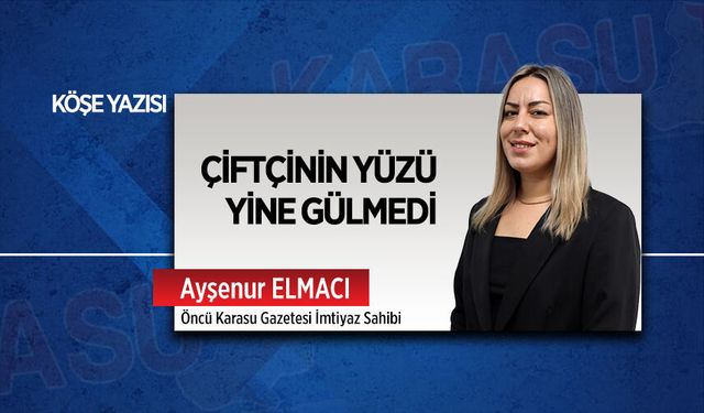 Çiftçinin yüzü yine gülmedi