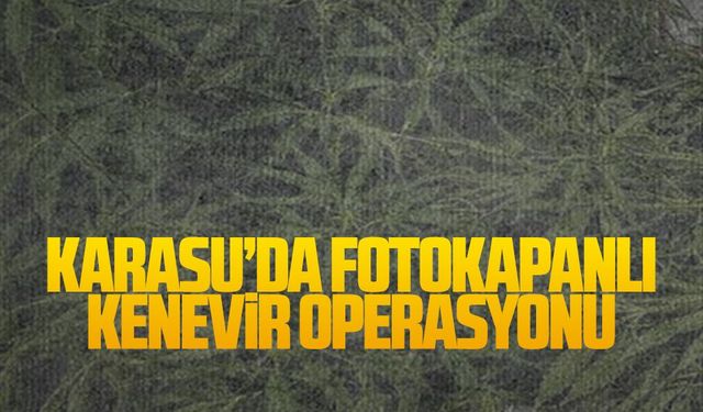 Karasu’da fotokapanlı kenevir operasyonu