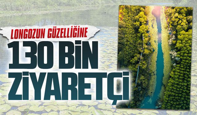 Acarlar Longozu sezon boyunca 130 bin ziyaretçiyi ağırladı