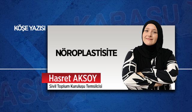 Nöroplastisite