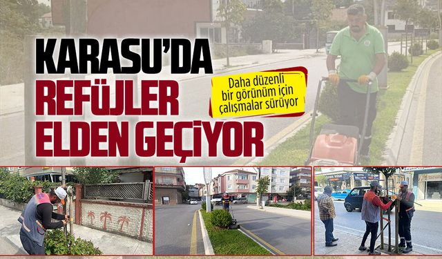 Karasu Belediyesi Park ve Bahçeler Müdürlüğü’nden refüj yenileme çalışması